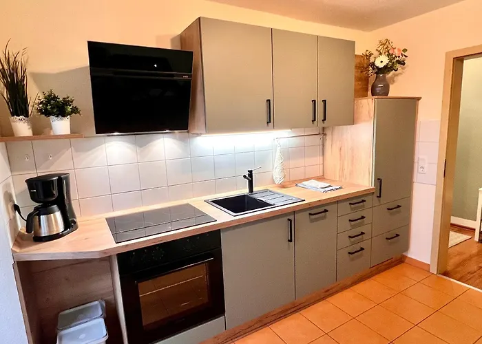 Apartman Kirschbluete Mit Balkon Chemnitz