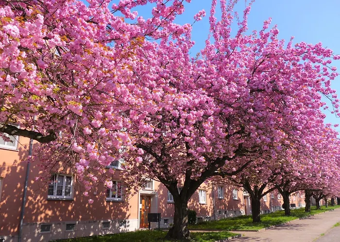Kirschbluete Mit Balkon Apartman Chemnitz